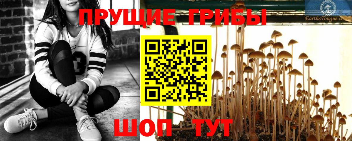 Галлюциногенные грибы ЛСД  где продают   Выкса  Вход с VPN 